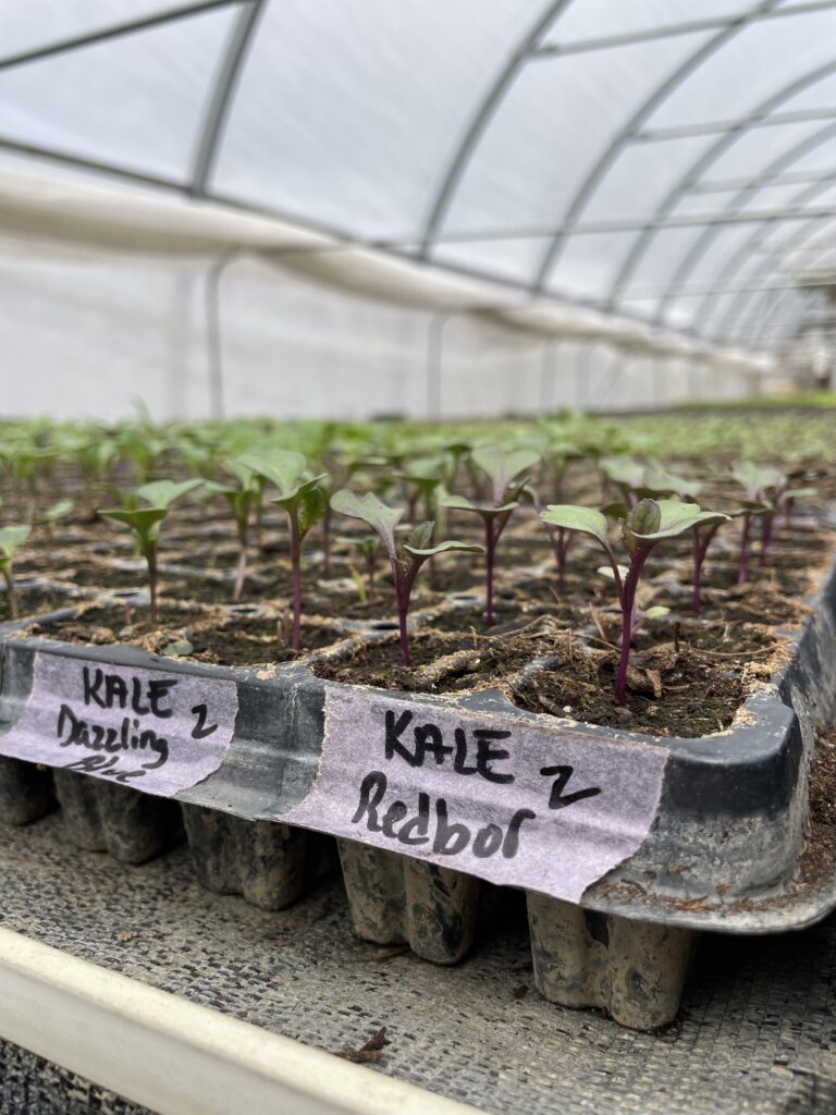 The Sylvia Center's Learning Garden at Katchkie Farm