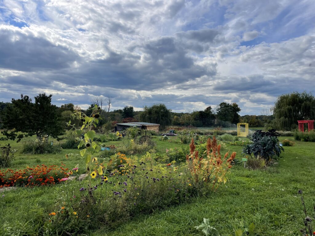 The Sylvia Center's Learning Garden at Katchkie Farm