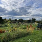 The Sylvia Center's Learning Garden at Katchkie Farm