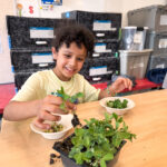 Farmer in the Classroom: Roots Academy Students learns to harvest