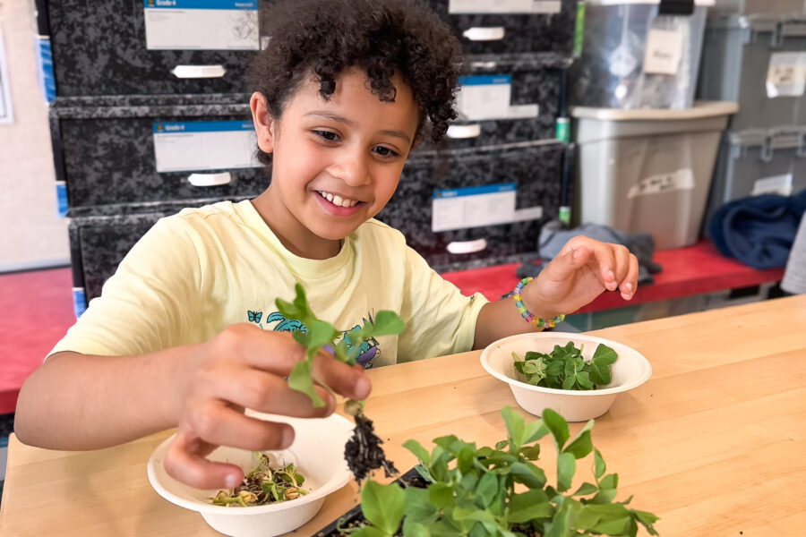 Farmer in the Classroom: Roots Academy Students learns to harvest