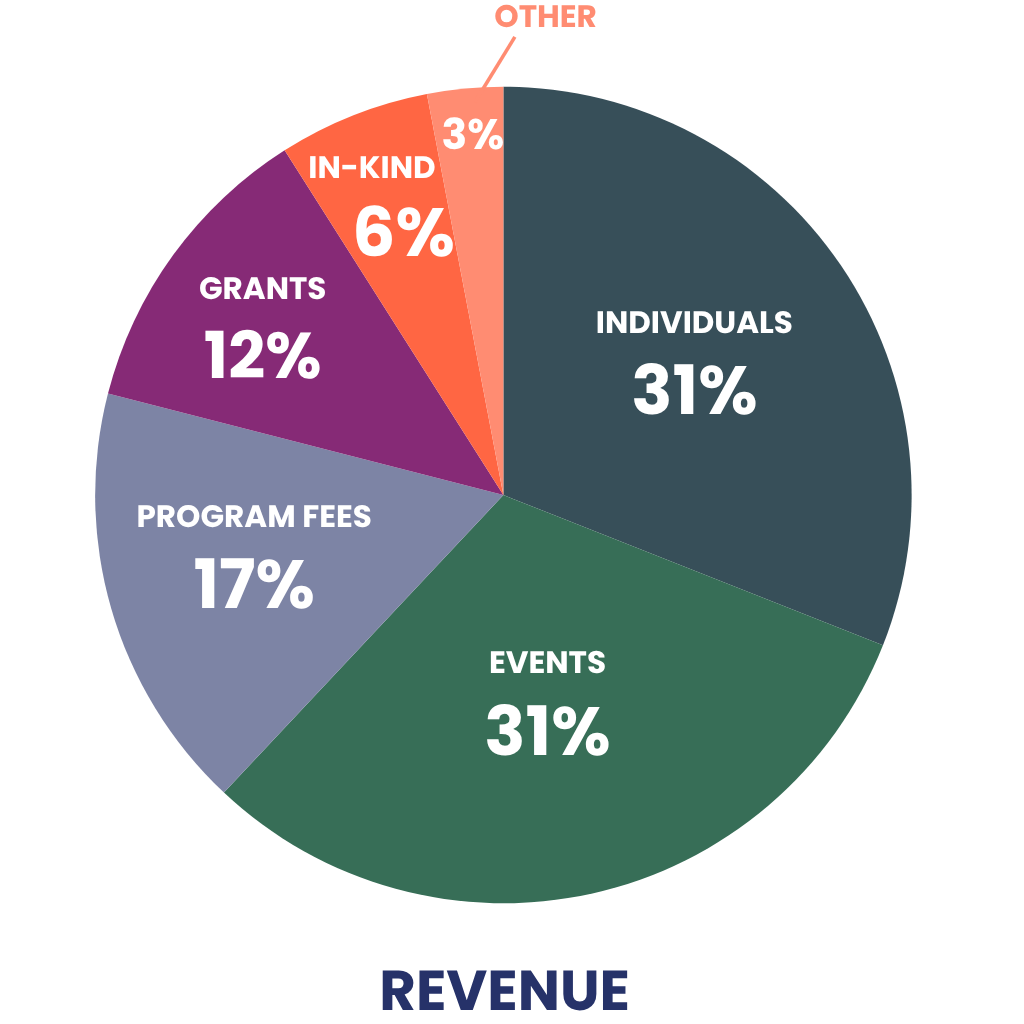 The Sylvia Center Revenue