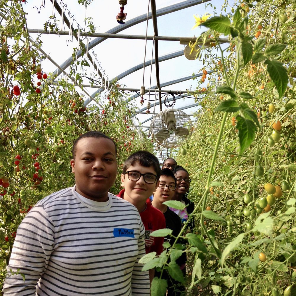 The Learning Garden at Katchkie Farm