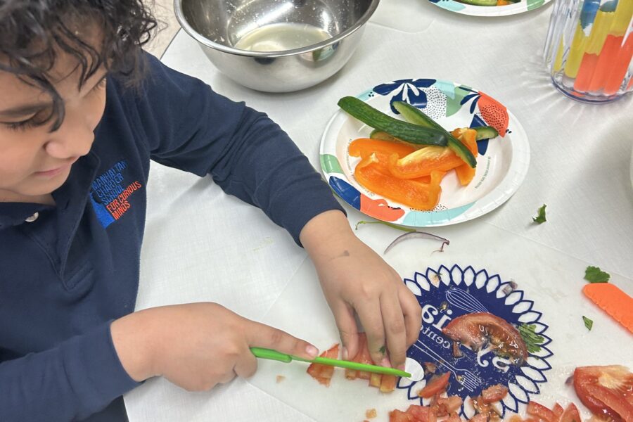 The Sylvia Center and Beacon Center and LES Prep