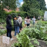 The Sylvia Center's teen culinary apprentices from Hillcrest High School visit East New York Farms!