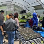 The Sylvia Center's teen culinary apprentices from Hillcrest High School visit East New York Farms!