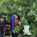 The Sylvia Center's teen culinary apprentices from Hillcrest High School visit East New York Farms!