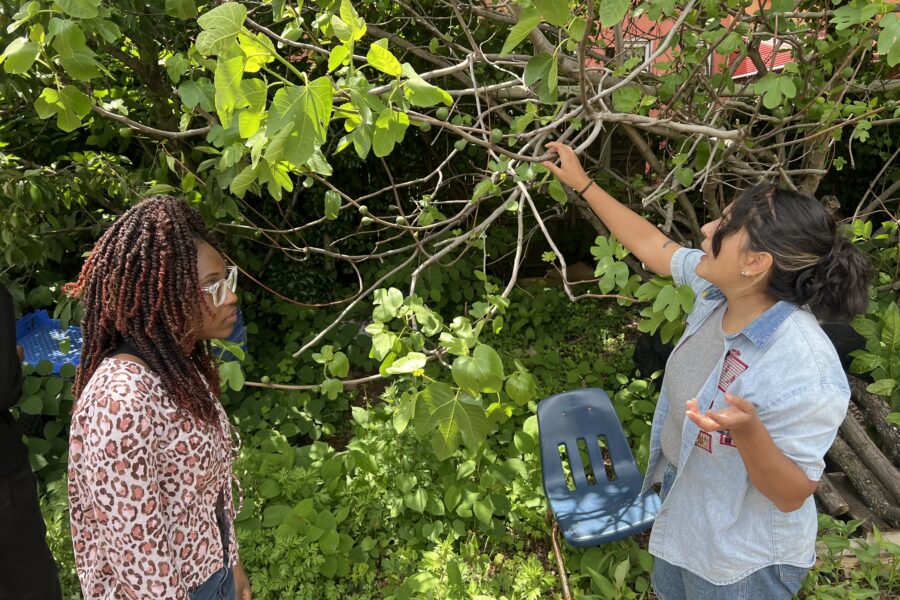 The Sylvia Center's teen culinary apprentices from Hillcrest High School visit East New York Farms!