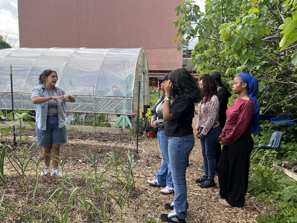 The Sylvia Center's teen culinary apprentices from Hillcrest High School visit East New York Farms!