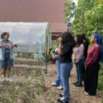 The Sylvia Center's teen culinary apprentices from Hillcrest High School visit East New York Farms!