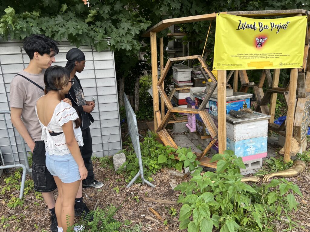The Sylvia Center's teen culinary apprentices from Hillcrest High School visit East New York Farms!
