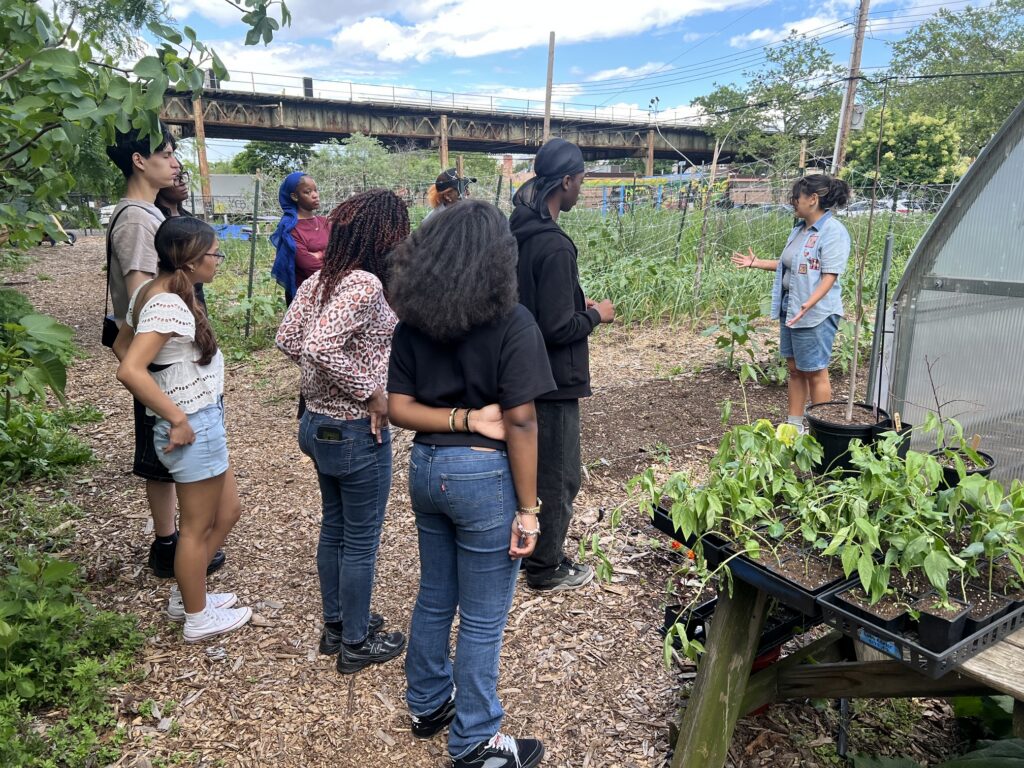 The Sylvia Center's teen culinary apprentices from Hillcrest High School visit East New York Farms!