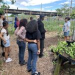 The Sylvia Center's teen culinary apprentices from Hillcrest High School visit East New York Farms!