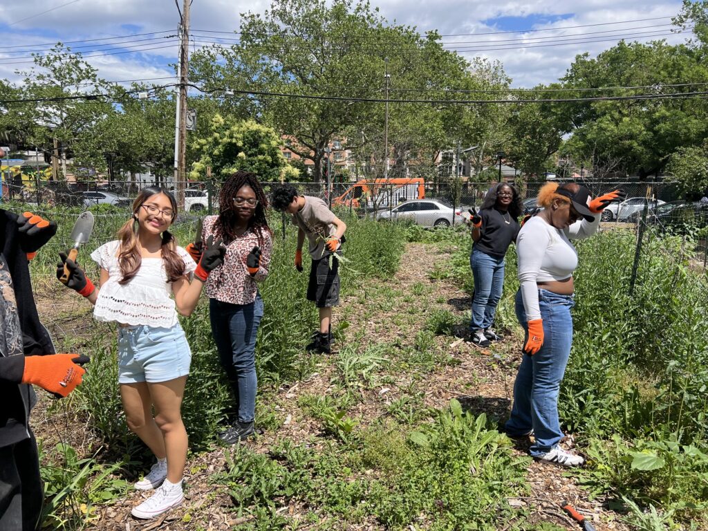 The Sylvia Center's teen culinary apprentices from Hillcrest High School visit East New York Farms!