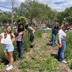 The Sylvia Center's teen culinary apprentices from Hillcrest High School visit East New York Farms!