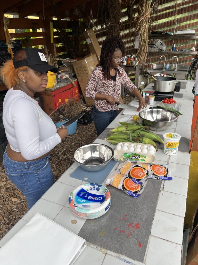 The Sylvia Center's teen culinary apprentices from Hillcrest High School visit East New York Farms!