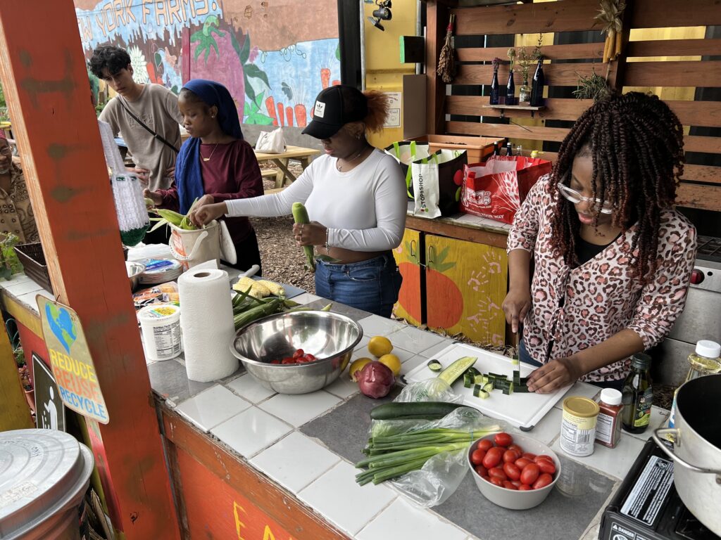 The Sylvia Center's teen culinary apprentices from Hillcrest High School visit East New York Farms!