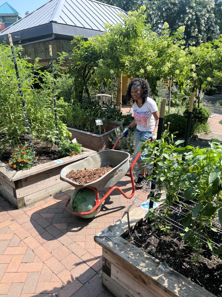 The Sylvia Center teen students visit New York Restoration Project