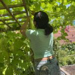 The Sylvia Center teen students visit New York Restoration Project