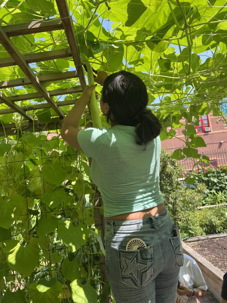 The Sylvia Center teen students visit New York Restoration Project