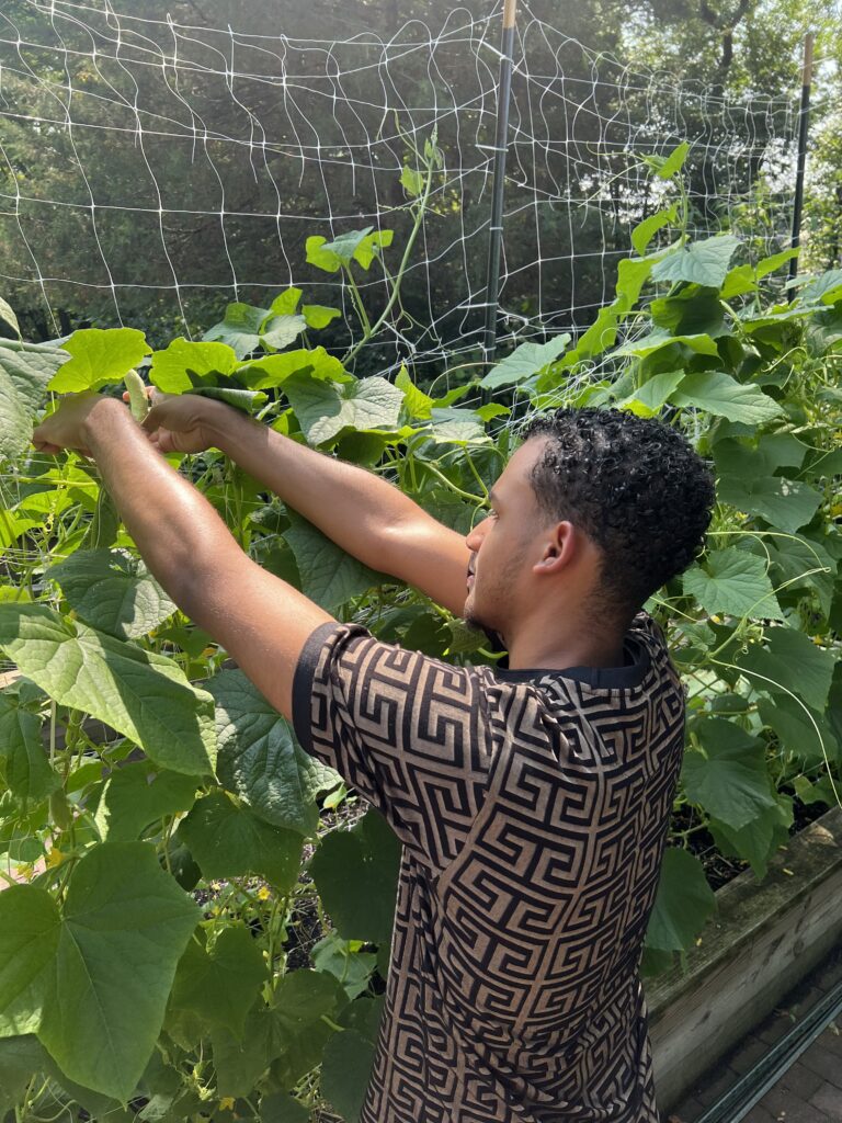 The Sylvia Center teen students visit New York Restoration Project
