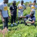 Urban students get hands-on garden and culinary education when the visit The Sylvia Center's Learning Garden at Katchkie Farm in the Hudson Valley