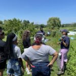 Urban students get hands-on garden and culinary education when the visit The Sylvia Center's Learning Garden at Katchkie Farm in the Hudson Valley
