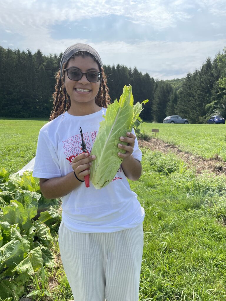 Urban students get hands-on garden and culinary education when the visit The Sylvia Center's Learning Garden at Katchkie Farm in the Hudson Valley