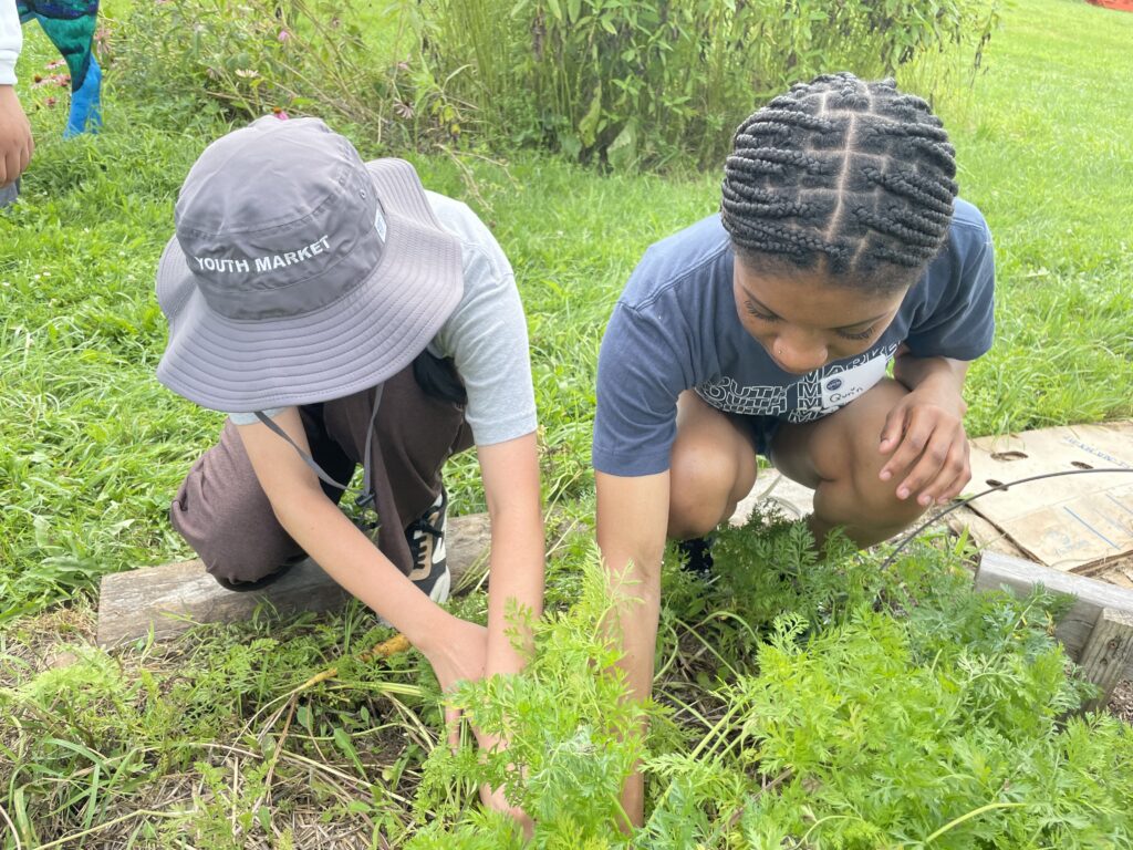 Urban students get hands-on garden and culinary education when the visit The Sylvia Center's Learning Garden at Katchkie Farm in the Hudson Valley